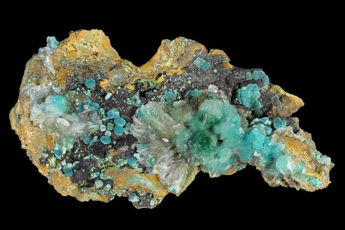 Azurite, Calcite and Rosasite Association - Utah #119542